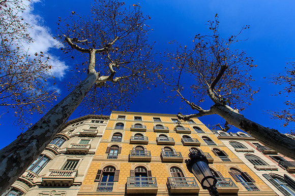 Façade et ciel bleu