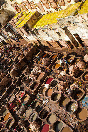 Tanneries