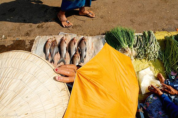 Vendeuse de poissons