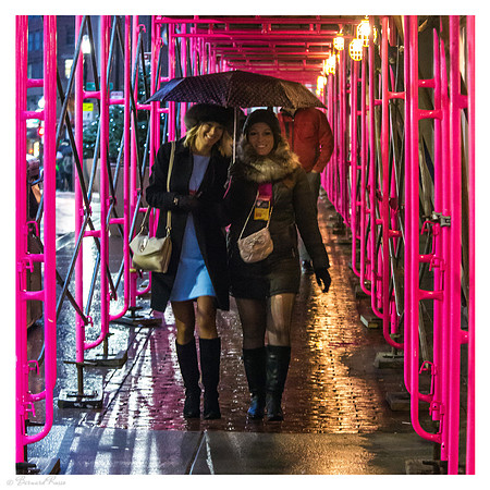 Parapluies sur fond rose