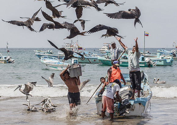 Retour de pêche
