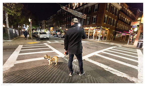 Homme et son chien à un carrefour