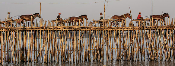 Chevaux et bambous