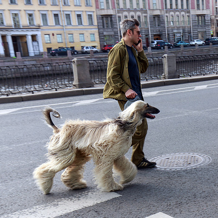 Saint-Petersbourg